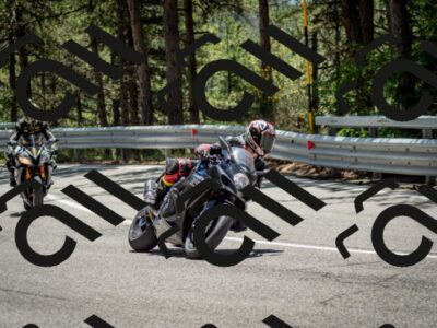 202506291301-DSC_3637_c2