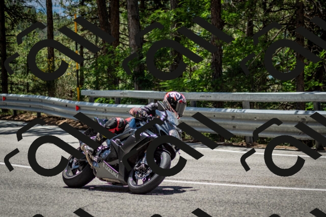 202506291301-DSC_3638_c2