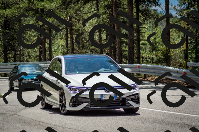 202506291301-DSC_3641_c2