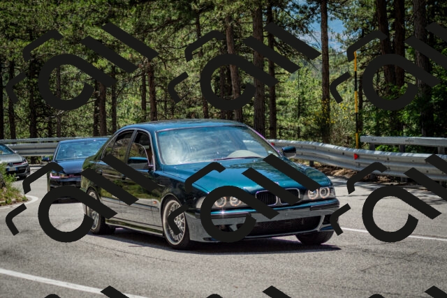 202506291301-DSC_3643_c2