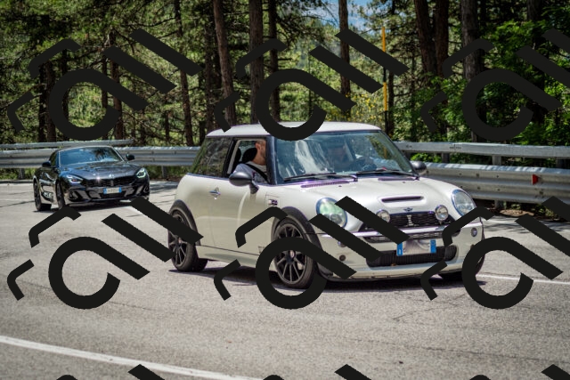 202506291301-DSC_3647_c2