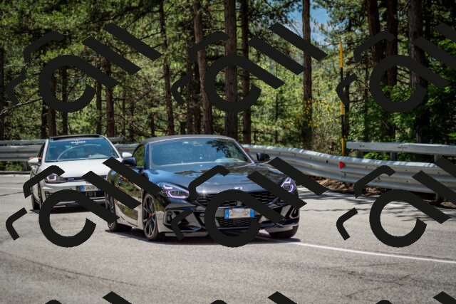 202506291301-DSC_3648_c2