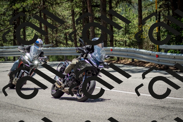 202506291301-DSC_3651_c2