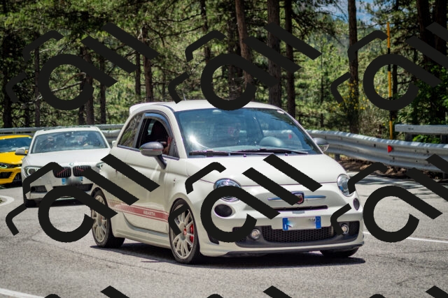 202506291302-DSC_3659_c2