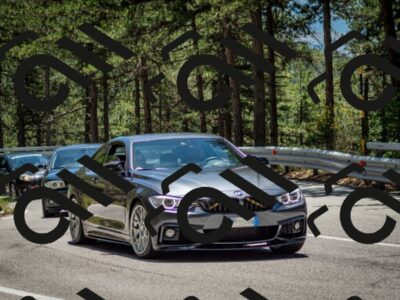 202506291302-DSC_3671_c2