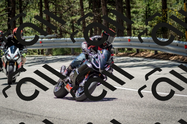 202506291303-DSC_3681_c2