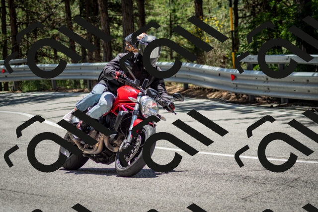 202506291303-DSC_3684_c2