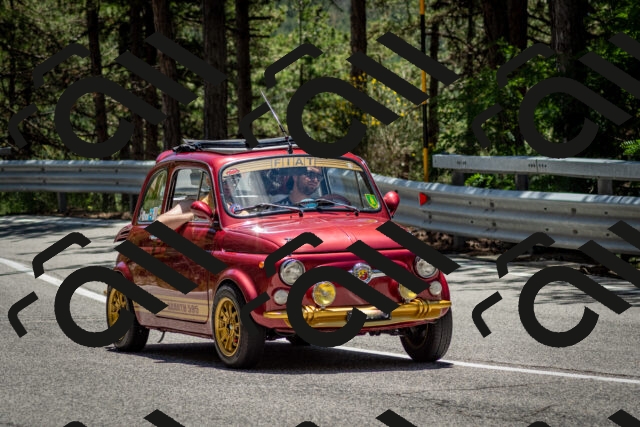 202506291303-DSC_3686_c2