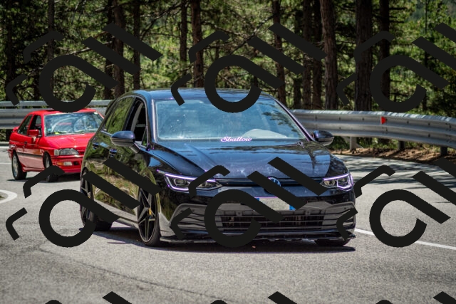 202506291303-DSC_3688_c2