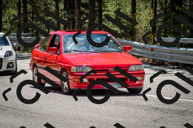 202506291303-DSC_3689_c2