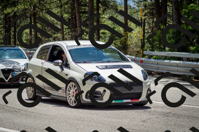 202506291303-DSC_3690_c2