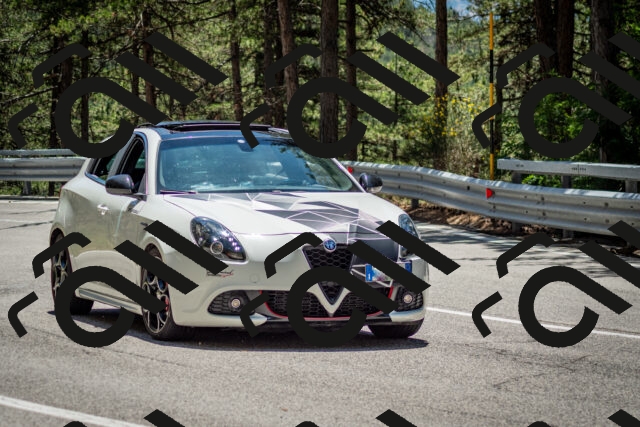 202506291303-DSC_3691_c2