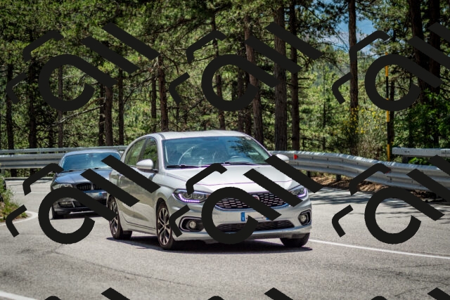 202506291304-DSC_3699_c2