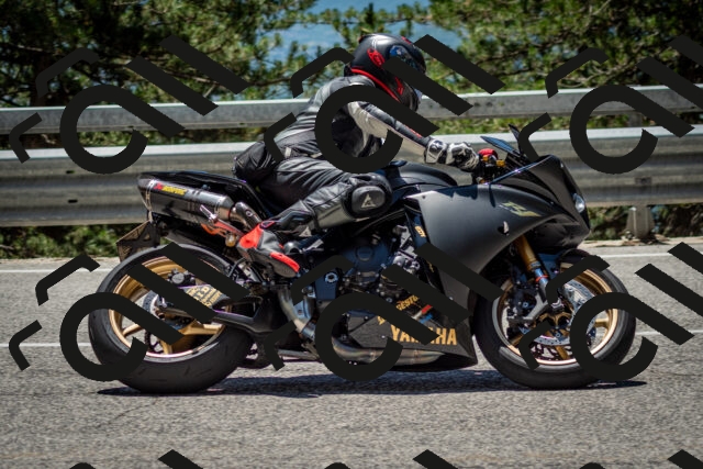 202506291308-DSC_3718_c2