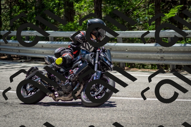 202506291308-DSC_3719_c2