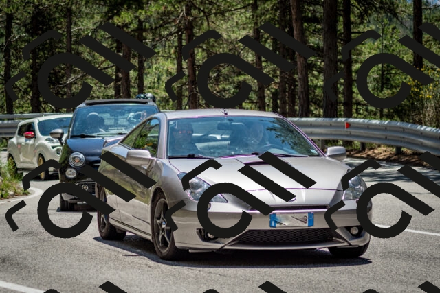 202506291309-DSC_3721_c2