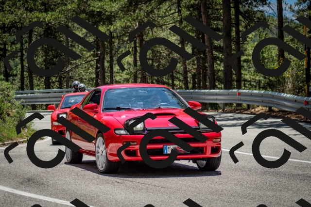 202506291309-DSC_3724_c2