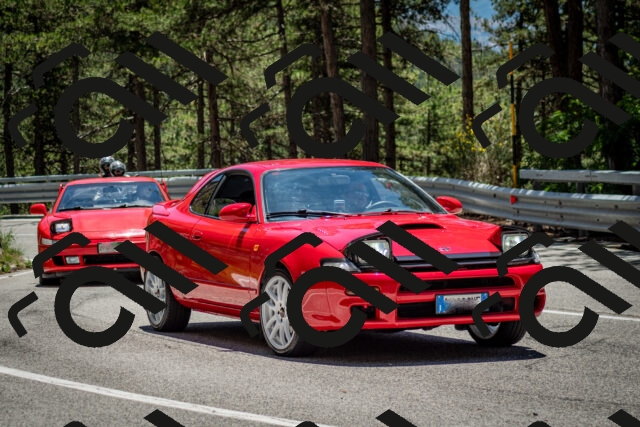 202506291309-DSC_3725_c2