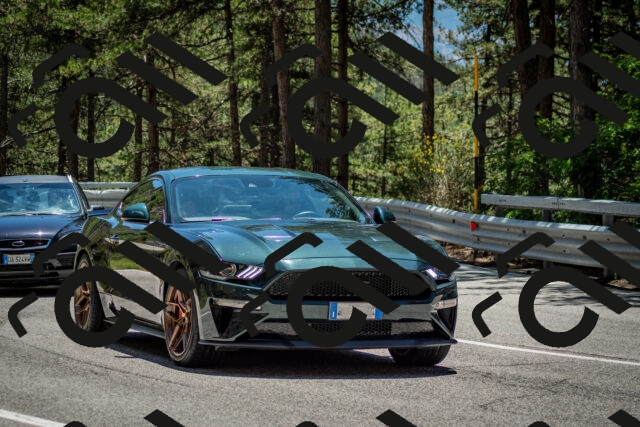 202506291309-DSC_3730_c2