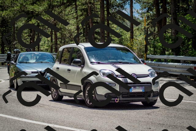 202506291309-DSC_3731_c2