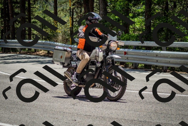 202506291309-DSC_3733_c2