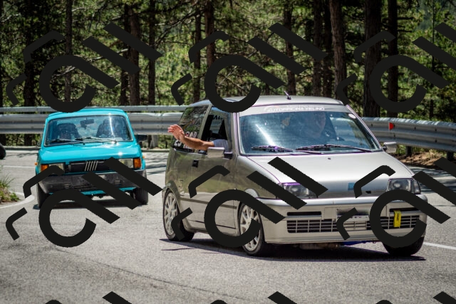 202506291310-DSC_3738_c2