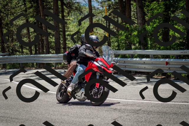 202506291311-DSC_3762_c2