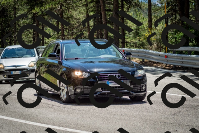 202506291314-DSC_3773_c2