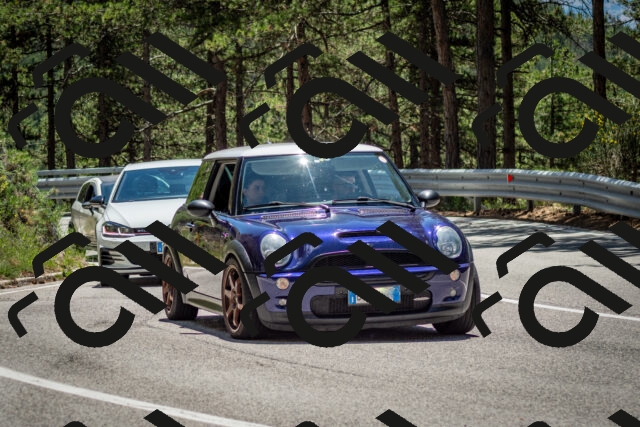 202506291315-DSC_3790_c2