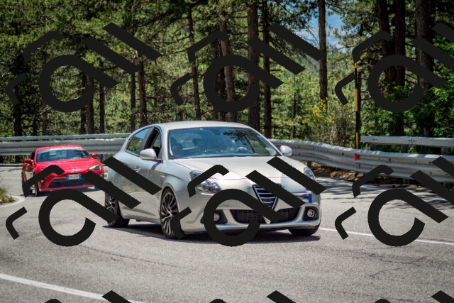 202506291315-DSC_3794_c2