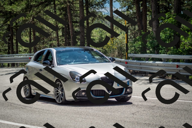 202506291315-DSC_3800_c2