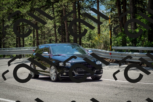 202506291315-DSC_3802_c2