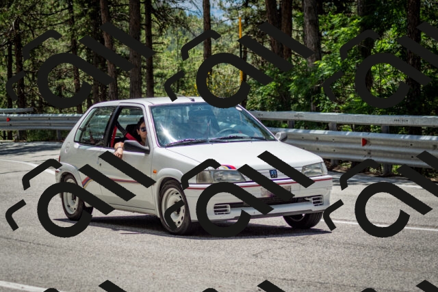 202506291317-DSC_3820_c2