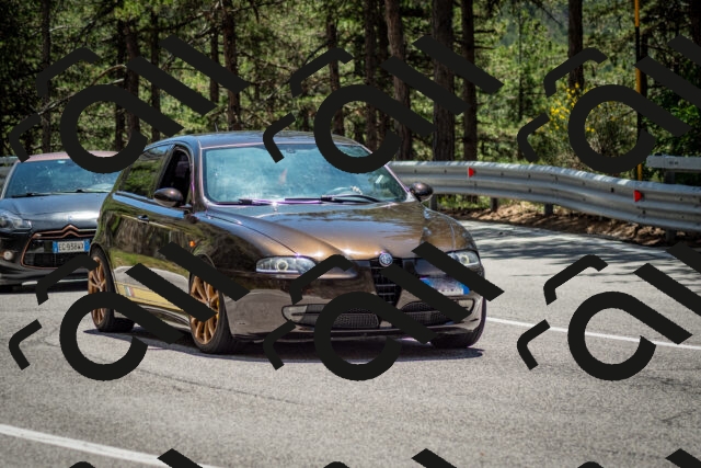 202506291317-DSC_3822_c2