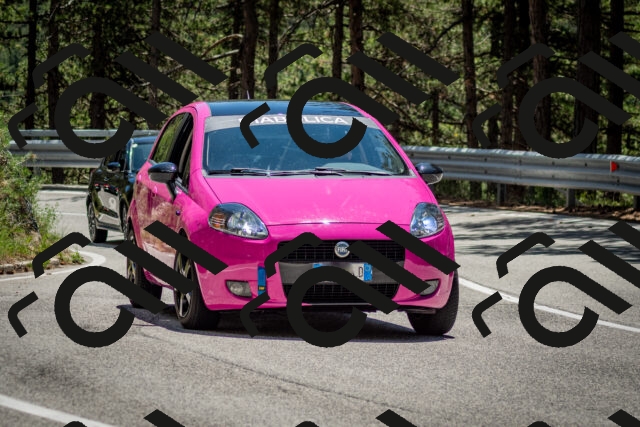 202506291318-DSC_3834_c2