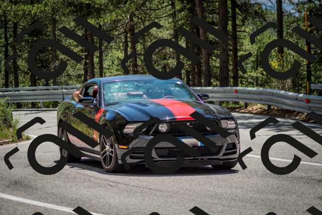 202506291318-DSC_3837_c2