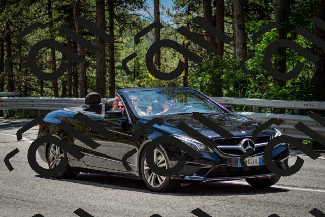 202506291318-DSC_3838_c2