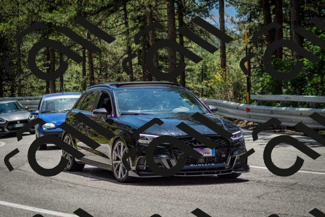 202506291318-DSC_3843_c2