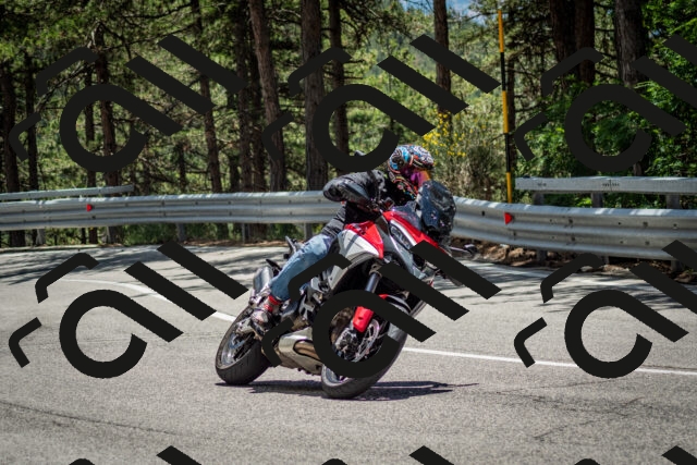 202506291319-DSC_3852_c2