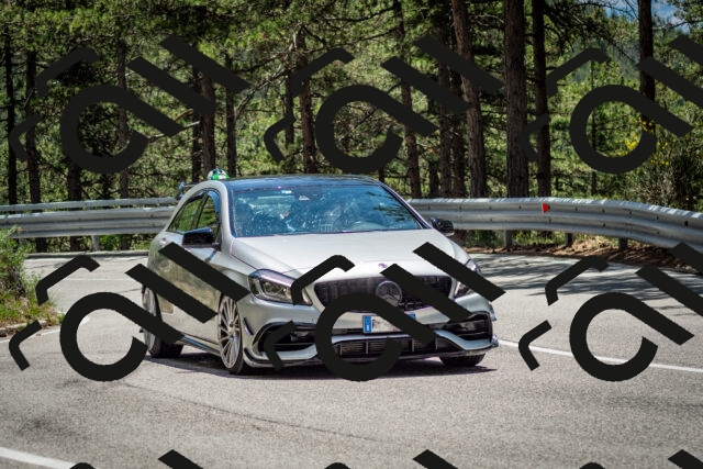 202506291319-DSC_3853_c2