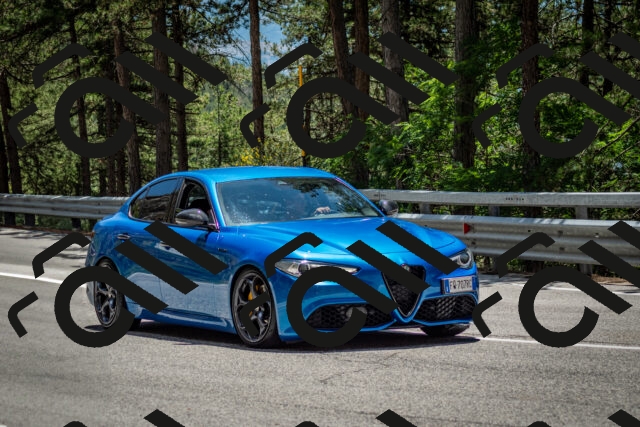 202506291319-DSC_3858_c2