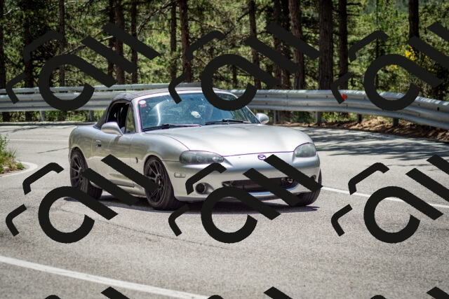 202506291321-DSC_3863_c2