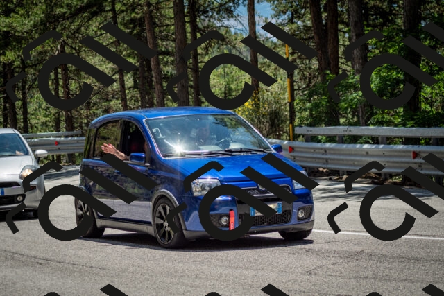 202506291324-DSC_3870_c2