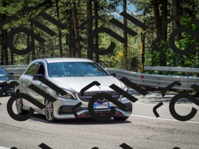 202506291326-DSC_3884_c2