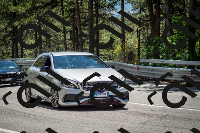 202506291326-DSC_3884_c2