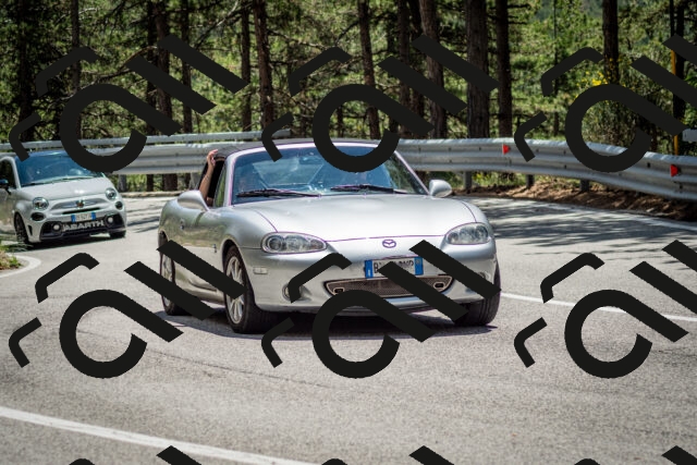 202506291328-DSC_3891_c2