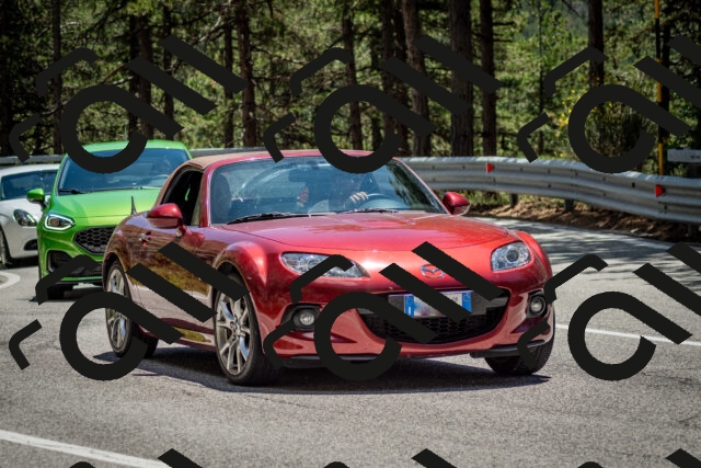 202506291328-DSC_3894_c2