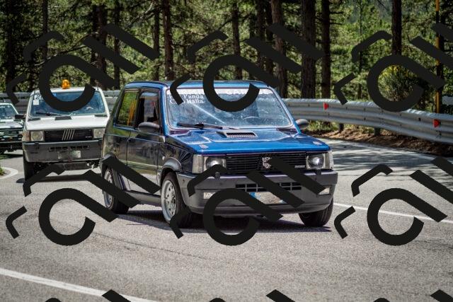 202506291330-DSC_3904_c2