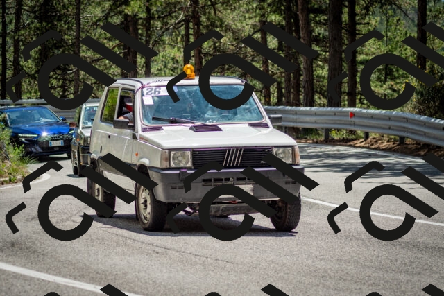 202506291330-DSC_3905_c2