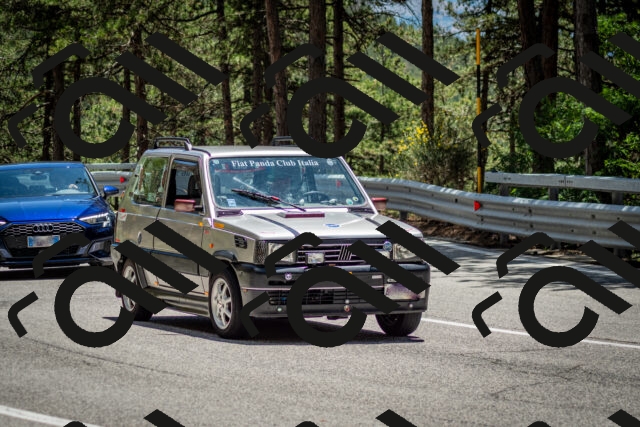 202506291330-DSC_3906_c2